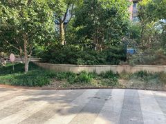 -Wagas沃歌斯(大学路店)