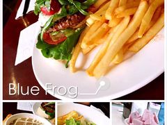 -bluefrog蓝蛙(水游城店)