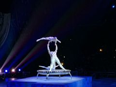 -珠海横琴长隆《卡卡虎奇遇记》