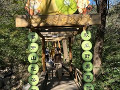 -大岭沟猕猴桃谷风景区