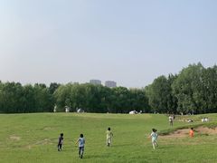 -长白岛森林公园