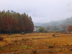 -塔川景区