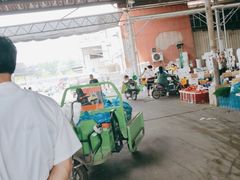 -上海江杨农产品批发市场蔬菜交易二区