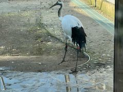 -哈尔滨北方森林动物园