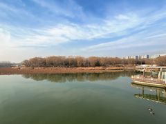 -大兴滨河森林公园