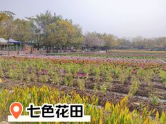 -丹樱生态园