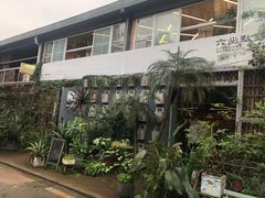 -六出私塾LiuChu•成人美术书法系统课程专业画室(熊婆婆的花园店)