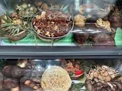 -野菌王•养生汤锅•野生菌火锅(大理漾濞路店)
