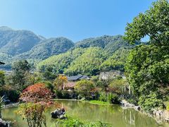 -江西龙虎山景区