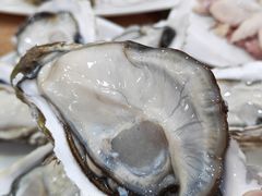-濠轩阁特色生蚝火锅(水湾路店)