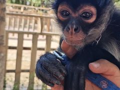 -水上乐园·欢乐世界