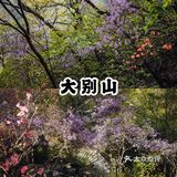 安徽小众旅游攻略｜皖西的一方山水