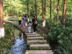 -重庆彩云湖湿地公园