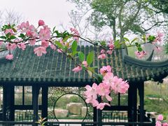 -拙政园