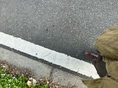 -同里国家湿地公园