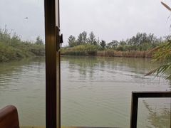 -泗洪洪泽湖湿地景区