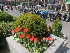 -中海环宇荟