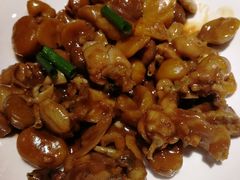 -贴阁碧(百丈东路店)
