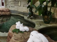 -天目湖涵田半山温泉