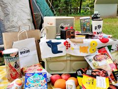 -南宁良凤江国家森林公园