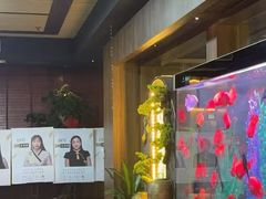 -臻享养生·SPA·影院式足道(汇臻店)