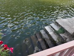 -秦岭终南山世界地质公园翠华山景区