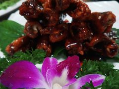 -睿柏云酒店-餐厅