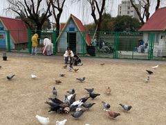 -上海大学(宝山校区)