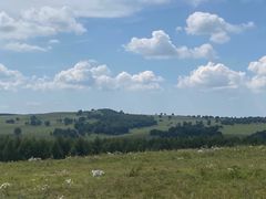 -塞罕坝国家级自然保护区