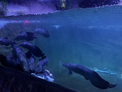 -烟台海昌鲸鲨海洋公园