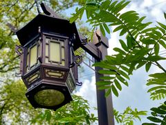 -黄陂区野村谷景区