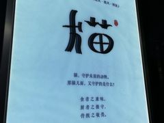 -老地方猫儿面(磁器口店)