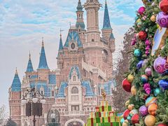 -上海迪士尼度假区