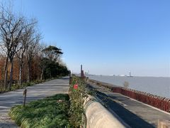 -上海滨江森林公园