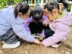 -伊顿幼儿园(济南大地锐城校区)