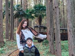 -黄海国家森林公园