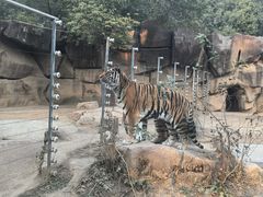 -荆州中山公园动物园