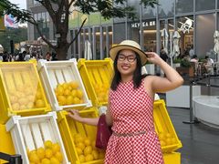 -东莞松山湖万象汇