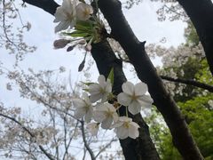 -杭州城北体育公园