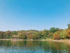 -紫霞湖公园