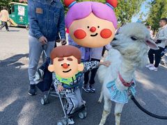 -黄海国家森林公园