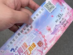 -顾村公园