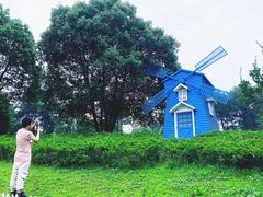 -铁山坪森林公园