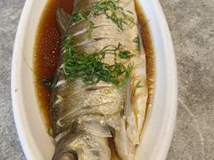 -张鸟园农家乐(张鸟园店)