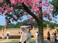 -东莞植物园