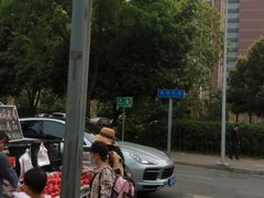 -神仙树公园