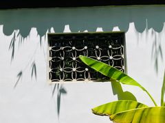 -水绘园