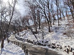 -北山公园