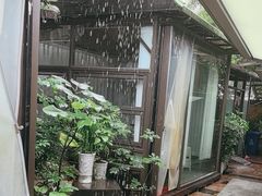 -先机泉水鸡汤(南山老君洞店)