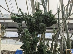 -南山植物园